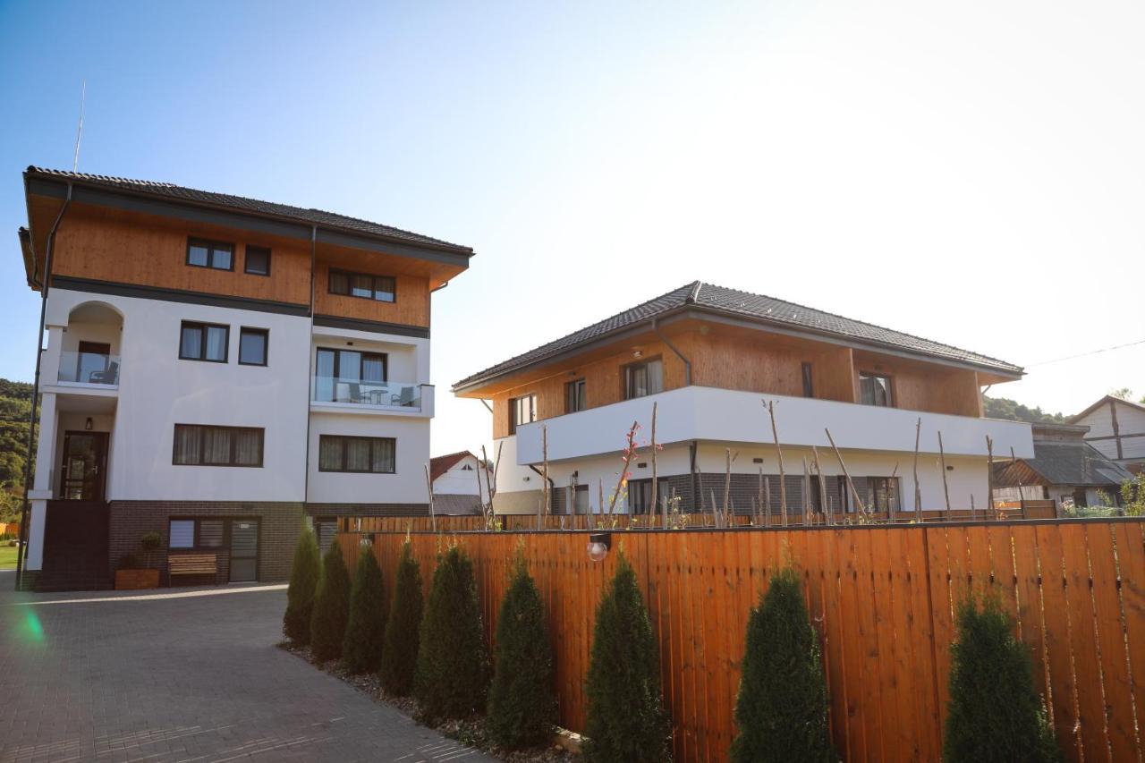 Pensiunea Maramures Guesthouse Viseu de Jos Exteriör bild