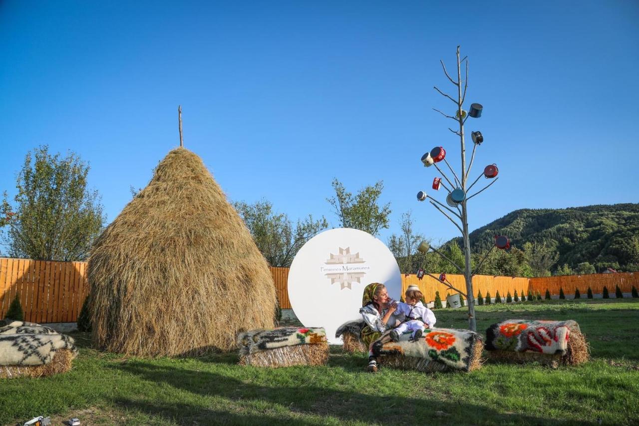 Pensiunea Maramures Guesthouse Viseu de Jos Exteriör bild