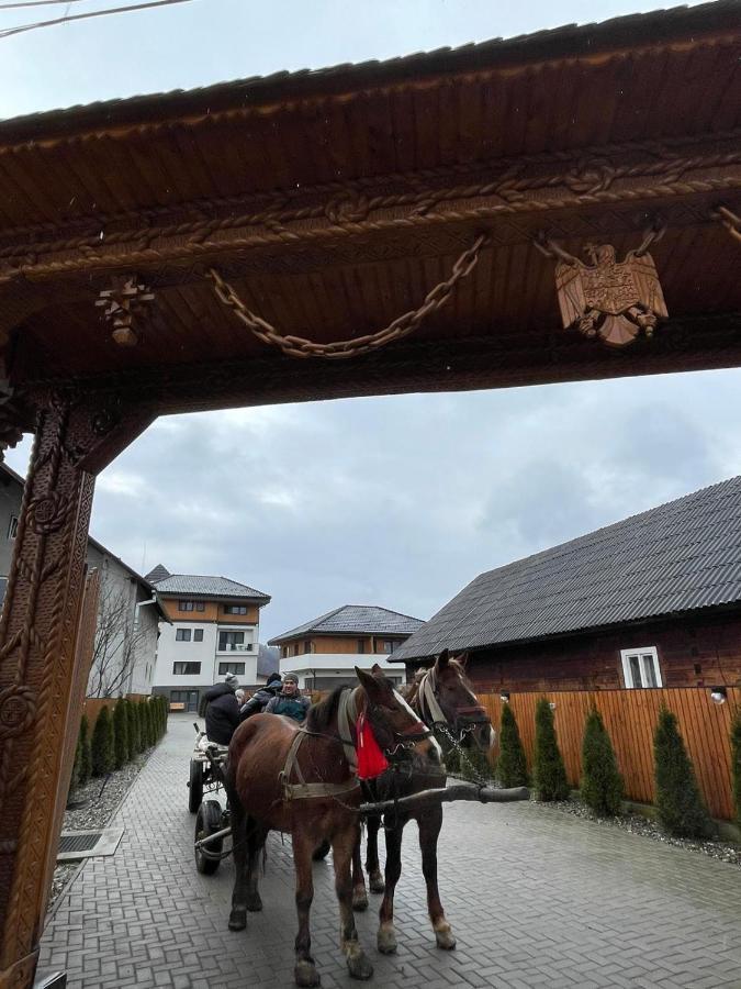 Pensiunea Maramures Guesthouse Viseu de Jos Exteriör bild