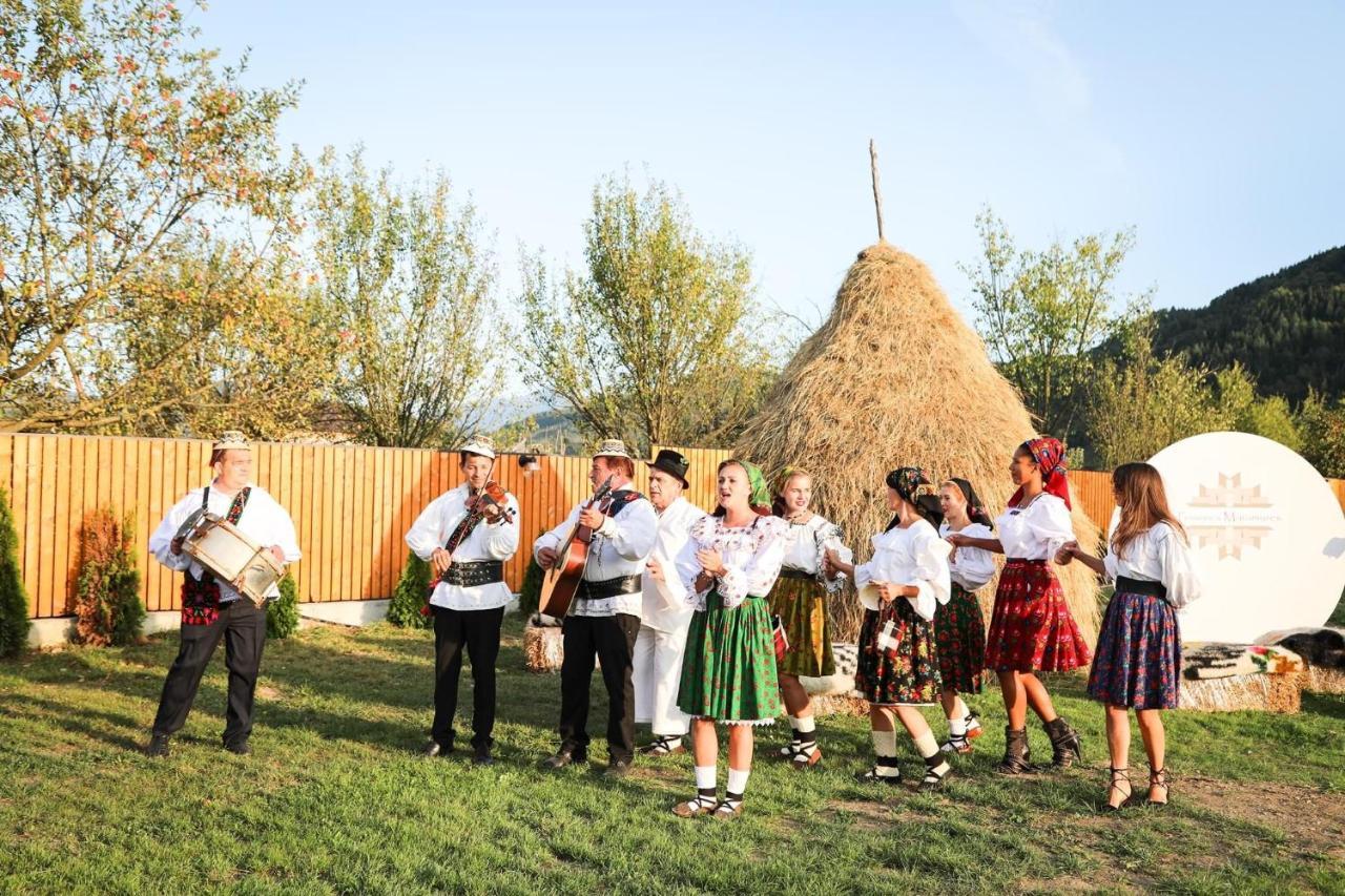 Pensiunea Maramures Guesthouse Viseu de Jos Exteriör bild
